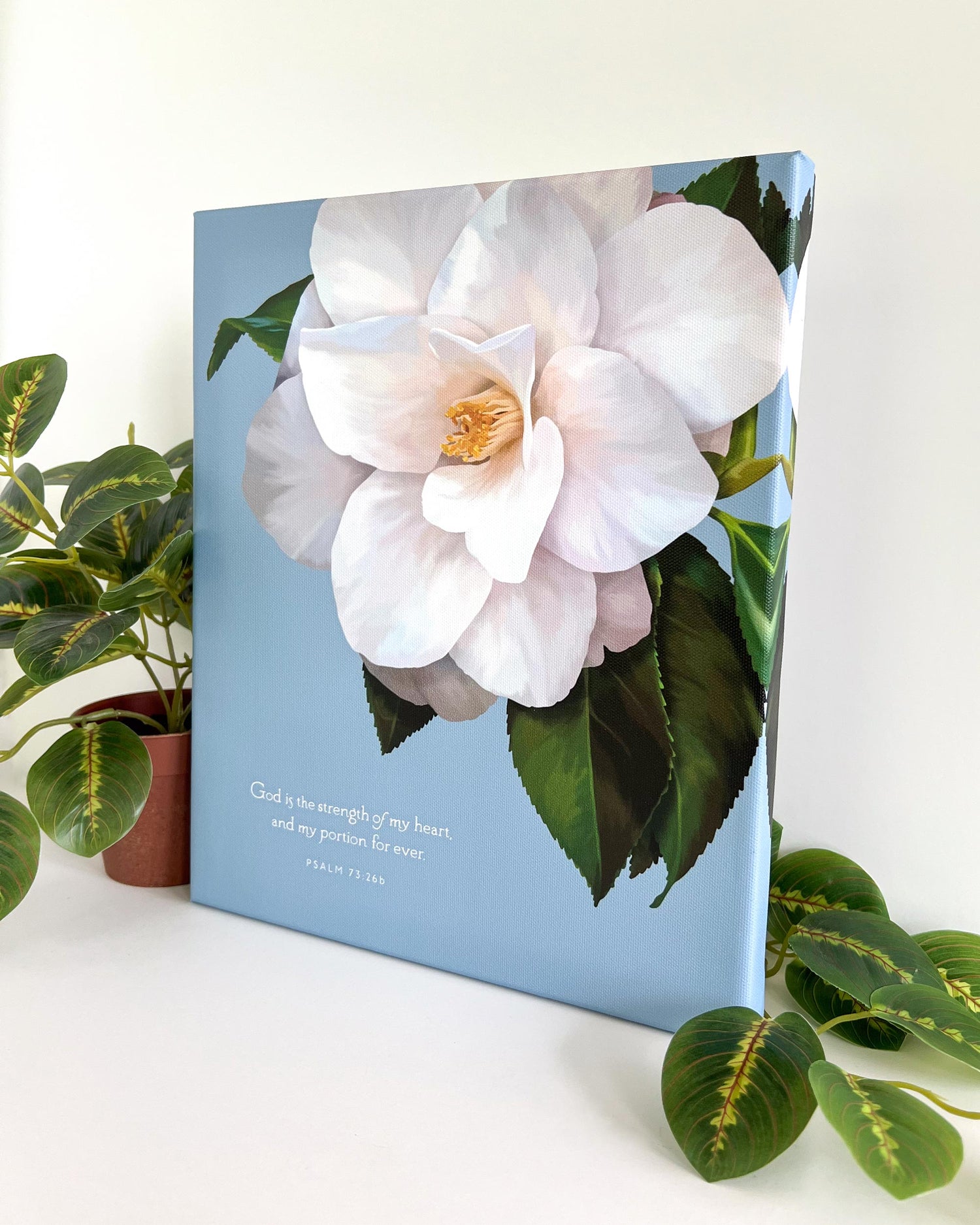 Canvas Prints