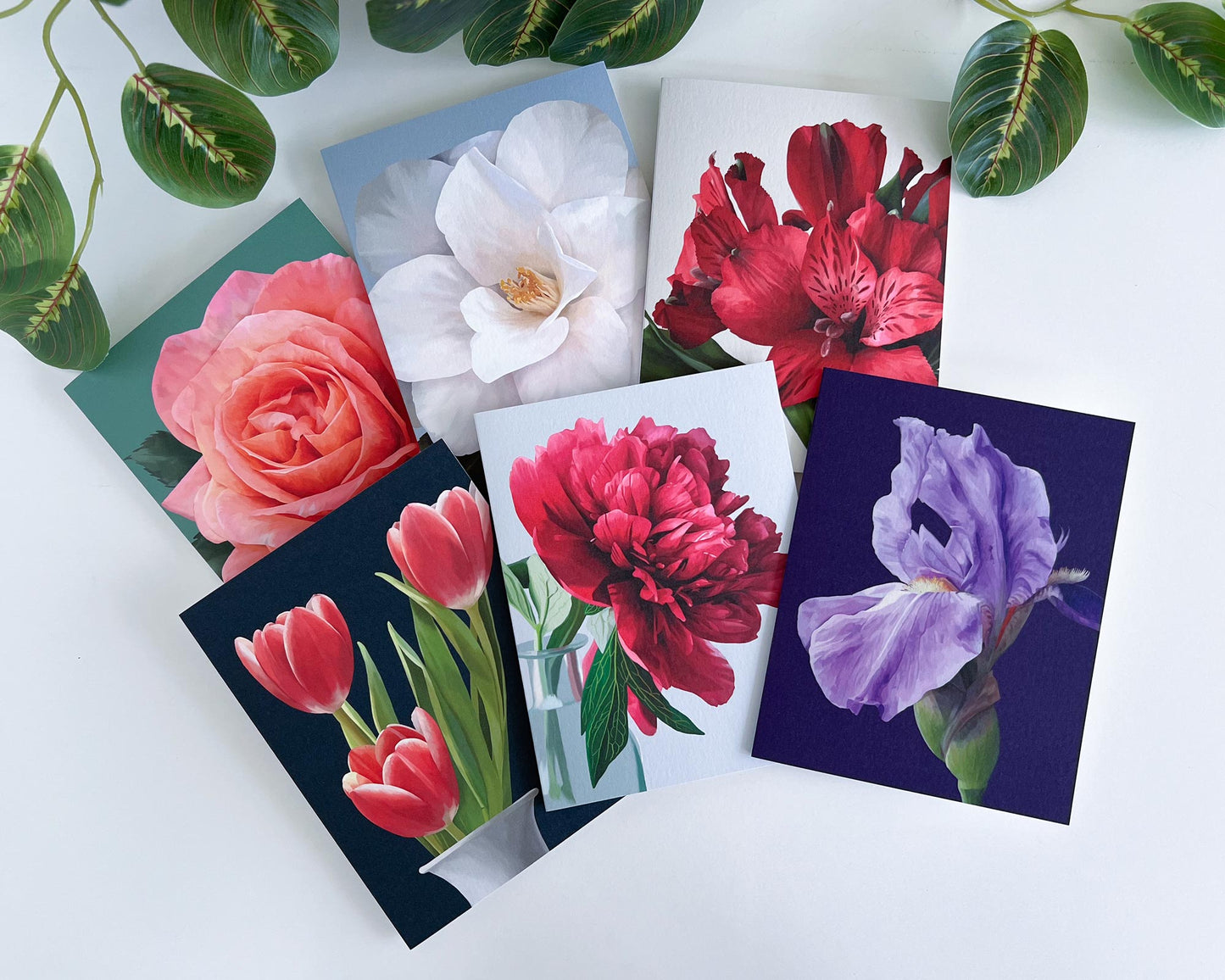 Floral Cards Box Set (Blank; Set of 6)