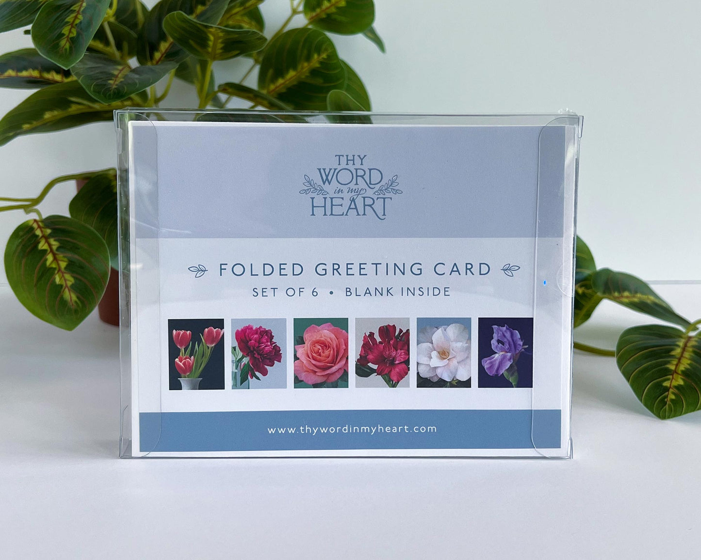 Floral Cards Box Set (Blank; Set of 6)