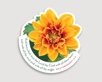 Magnet, Deuteronomy 6:5