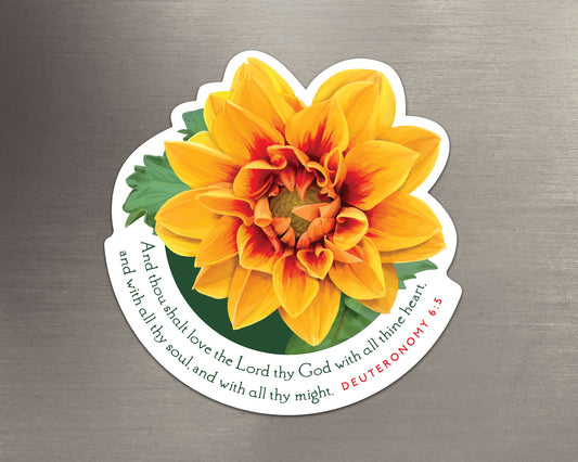 Magnet, Deuteronomy 6:5