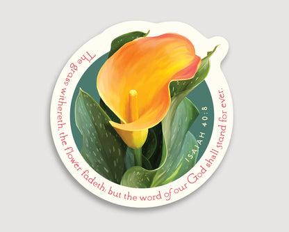 Magnet, Isaiah 40:8