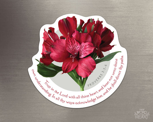 Magnet, Proverbs 3:5-6