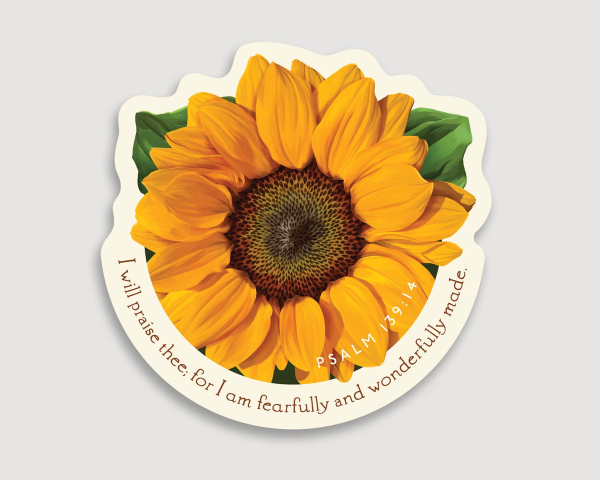 Magnet, Psalm 139:14
