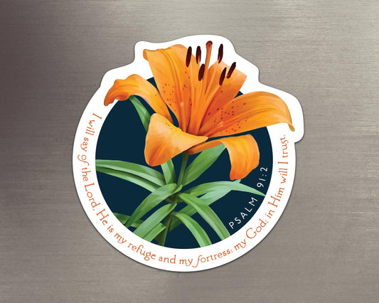 Magnet, Psalm 91:2