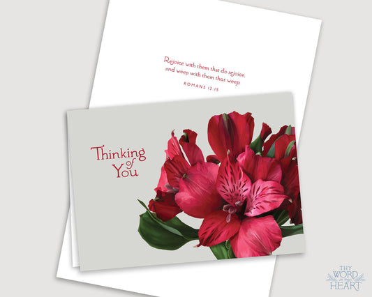 Greeting Card : Thinking of You, Alstroemeria